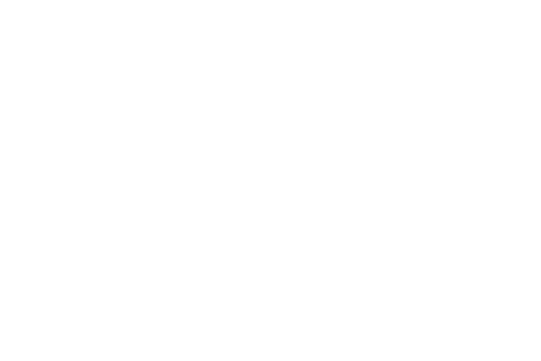 MAHLE logo